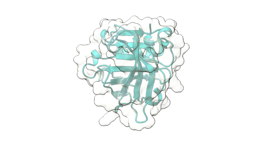 Estructura 3D beta-lactoglobulina
